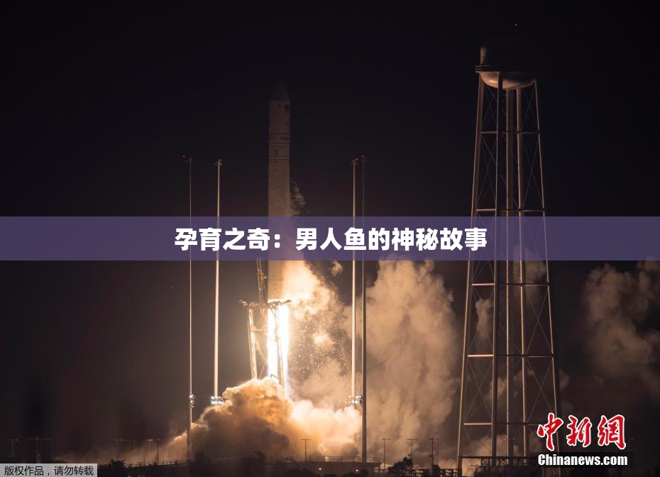 孕育之奇：男人鱼的神秘故事