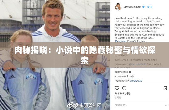 肉秘揭晓：小说中的隐藏秘密与情欲探索