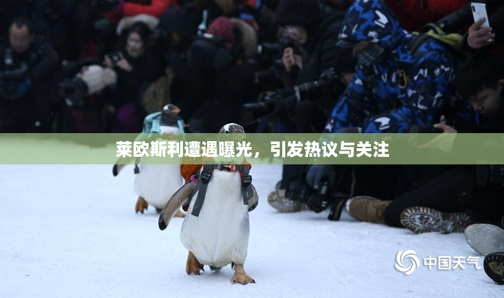 莱欧斯利遭遇曝光，引发热议与关注