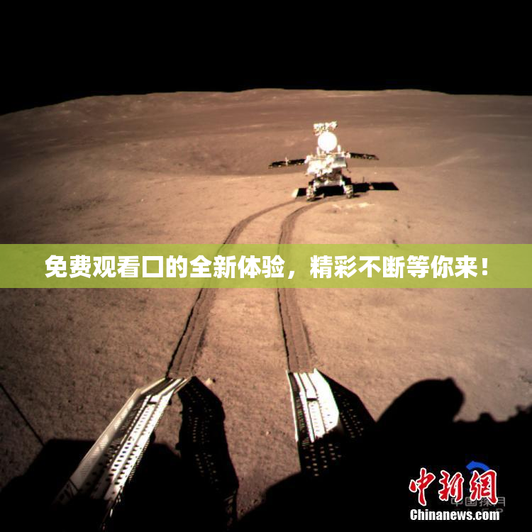 免费观看囗的全新体验，精彩不断等你来！