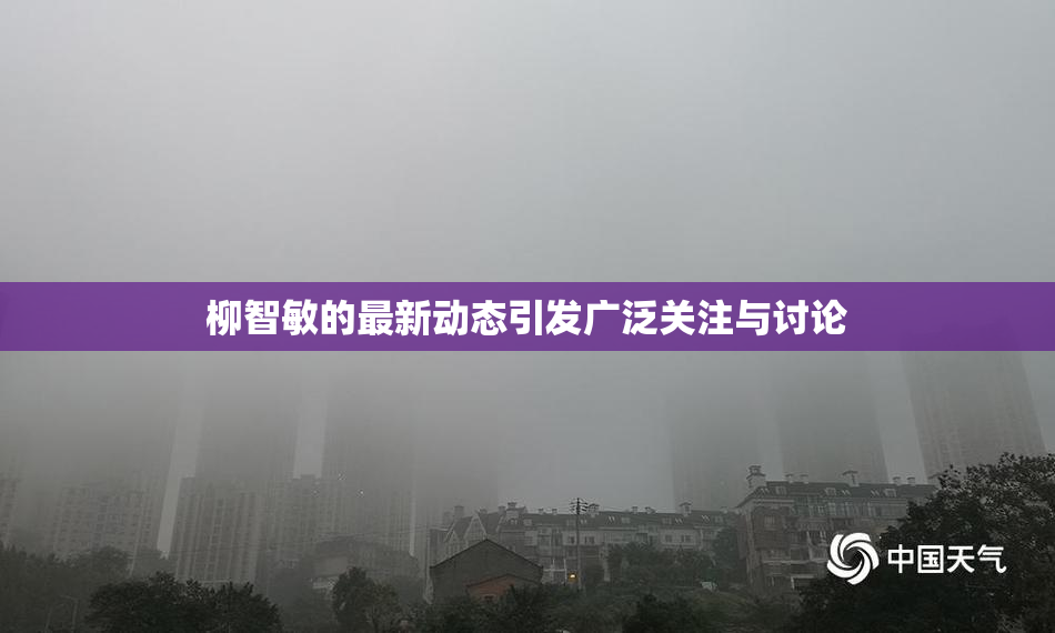 柳智敏的最新动态引发广泛关注与讨论