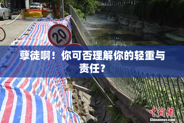 孽徒啊！你可否理解你的轻重与责任？