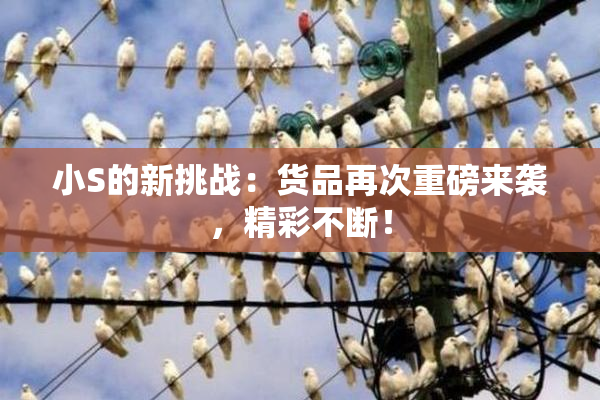 小S的新挑战：货品再次重磅来袭，精彩不断！