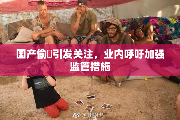国产偷抇引发关注，业内呼吁加强监管措施