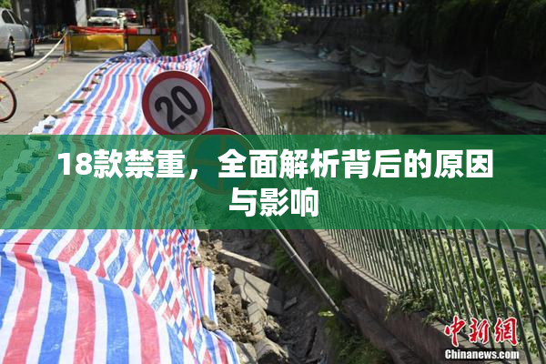 18款禁重，全面解析背后的原因与影响
