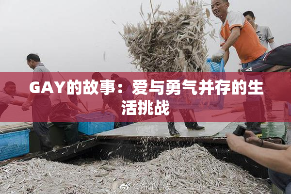 GAY的故事：爱与勇气并存的生活挑战