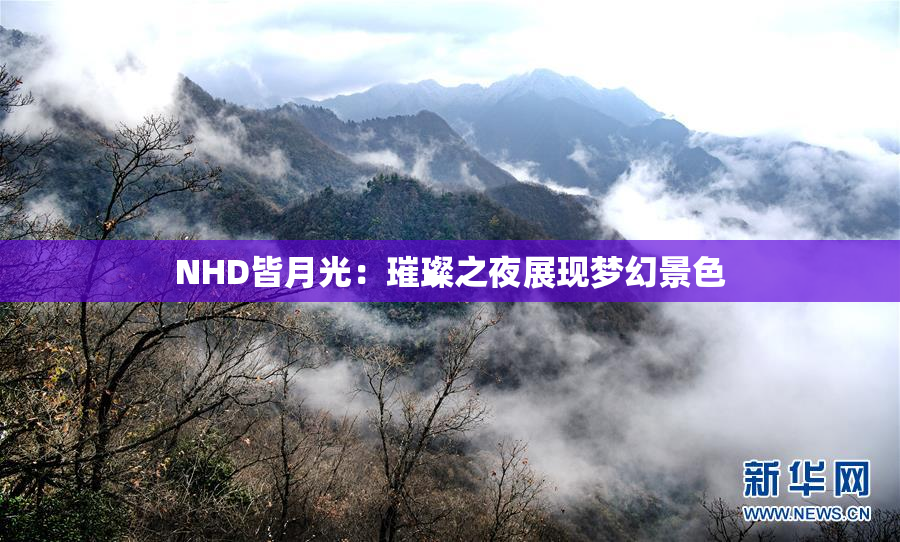 NHD皆月光：璀璨之夜展现梦幻景色