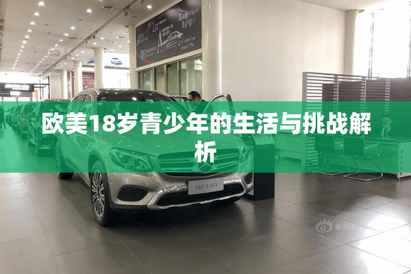 欧美18岁青少年的生活与挑战解析