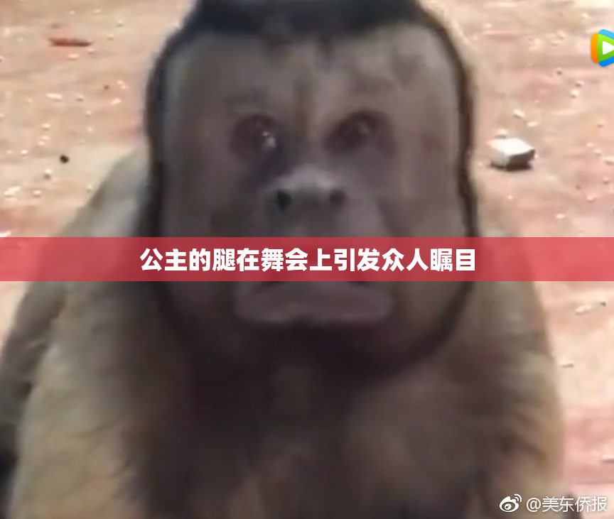 公主的腿在舞会上引发众人瞩目