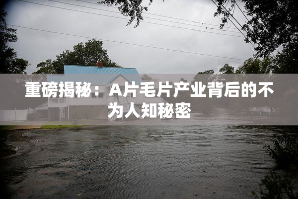 重磅揭秘：A片毛片产业背后的不为人知秘密