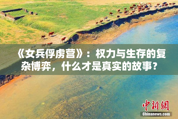 《女兵俘虏营》：权力与生存的复杂博弈，什么才是真实的故事？