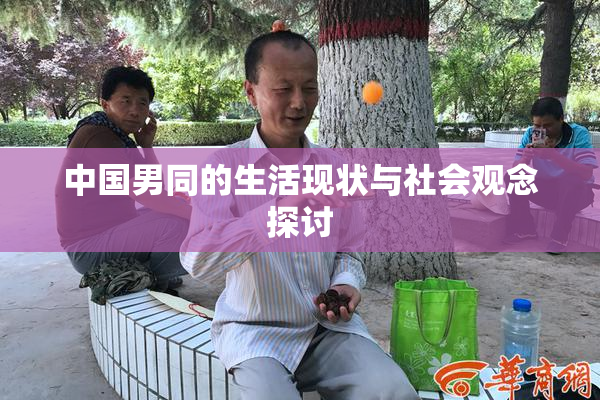 中国男同的生活现状与社会观念探讨