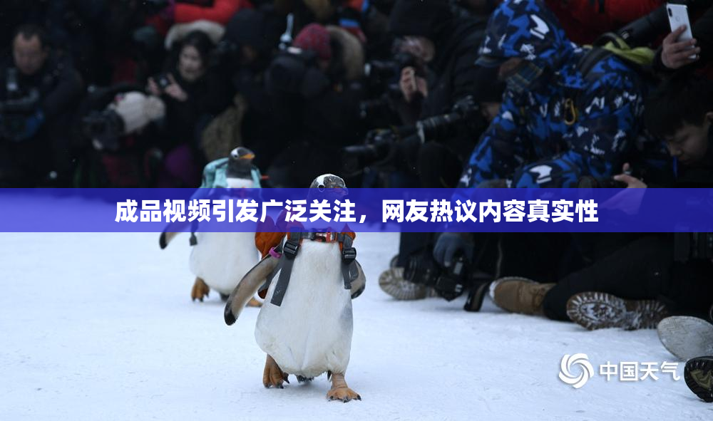 成品视频引发广泛关注，网友热议内容真实性
