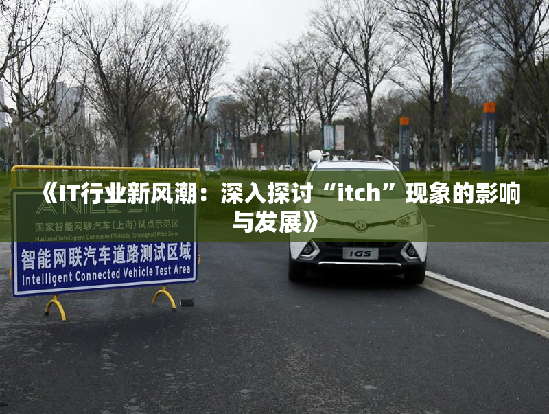 《IT行业新风潮：深入探讨“itch”现象的影响与发展》