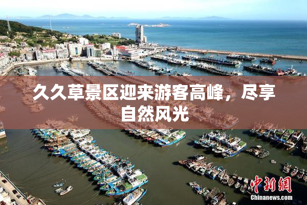 久久草景区迎来游客高峰，尽享自然风光