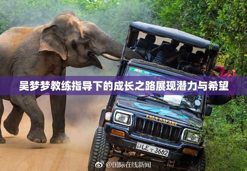吴梦梦教练指导下的成长之路展现潜力与希望