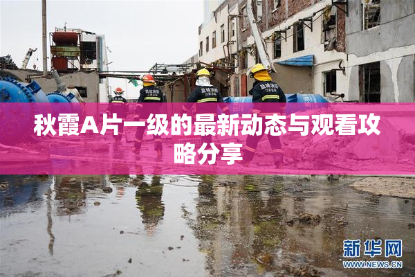 秋霞A片一级的最新动态与观看攻略分享