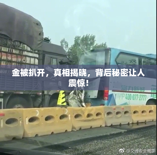金被扒开，真相揭晓，背后秘密让人震惊！