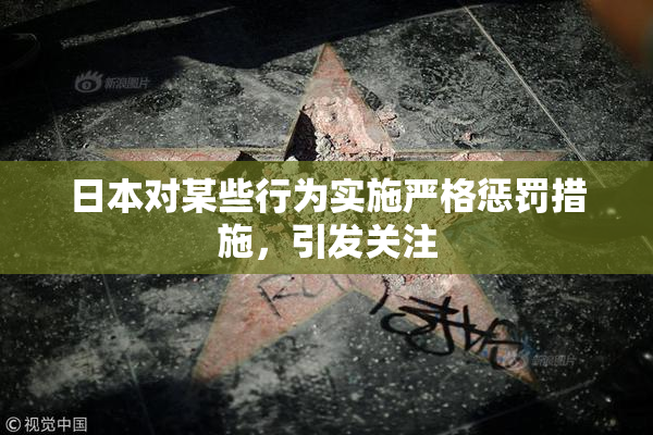 日本对某些行为实施严格惩罚措施，引发关注