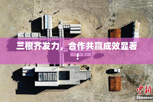 三根齐发力，合作共赢成效显著！