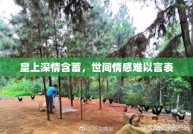 皇上深情含蓄，世间情感难以言表