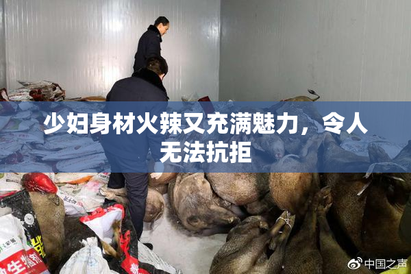 少妇身材火辣又充满魅力，令人无法抗拒