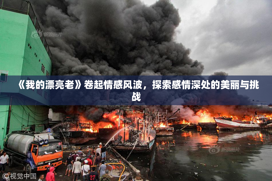 《我的漂亮老》卷起情感风波，探索感情深处的美丽与挑战