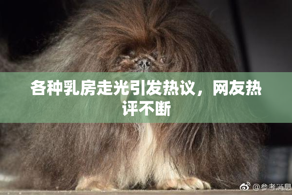 各种乳房走光引发热议，网友热评不断