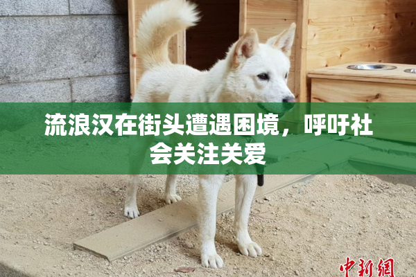 流浪汉在街头遭遇困境，呼吁社会关注关爱