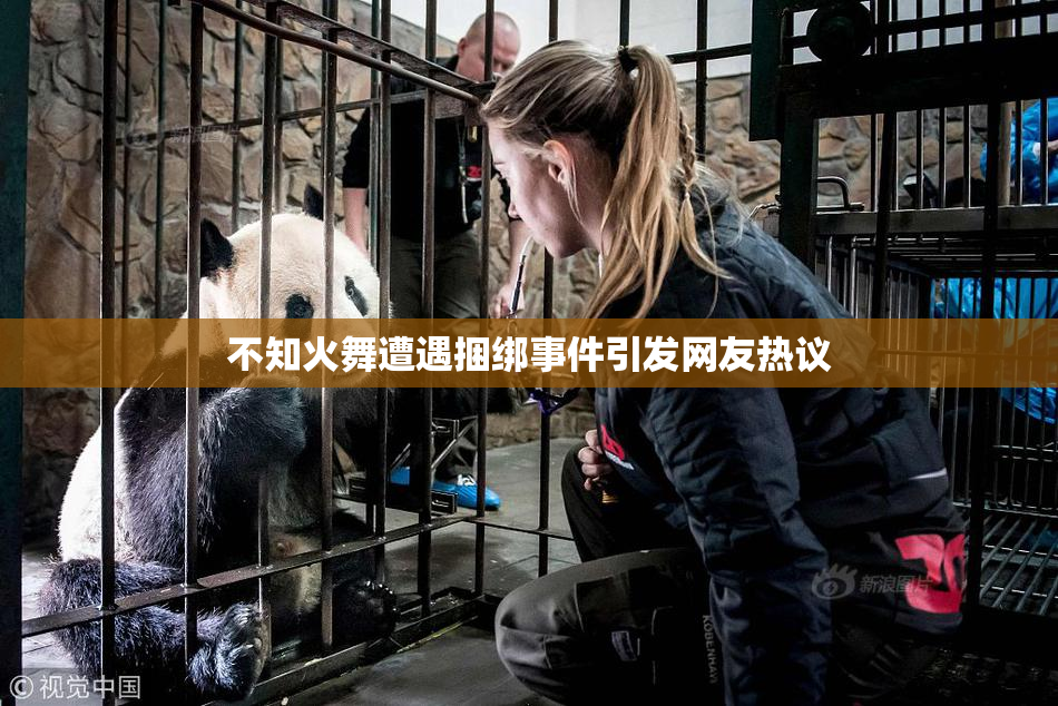 不知火舞遭遇捆绑事件引发网友热议
