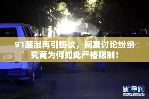 91禁漫再引热议，网友讨论纷纷究竟为何如此严格限制！