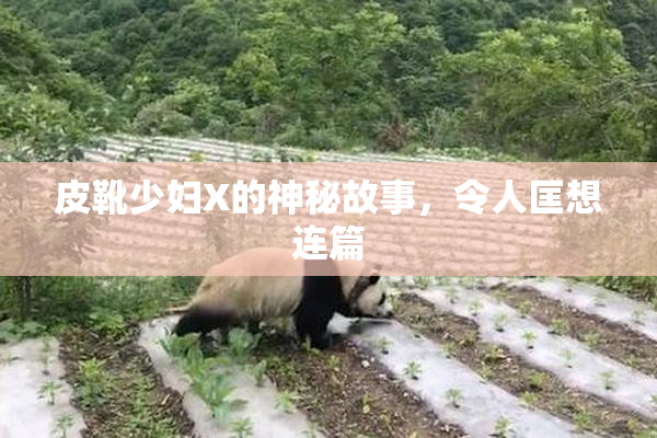 皮靴少妇X的神秘故事，令人匡想连篇