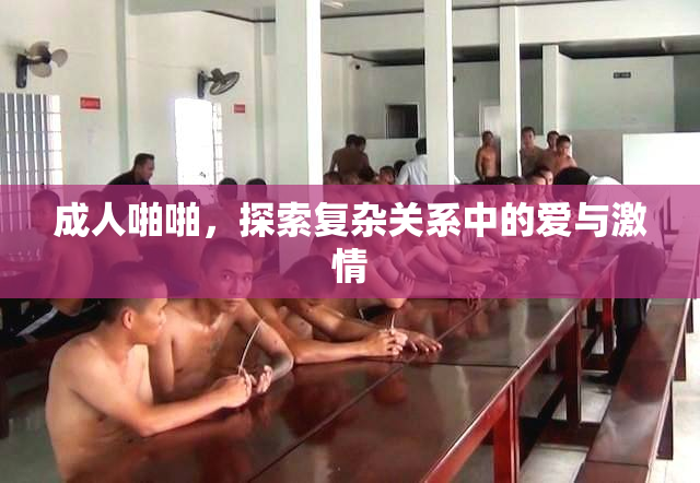 成人啪啪，探索复杂关系中的爱与激情