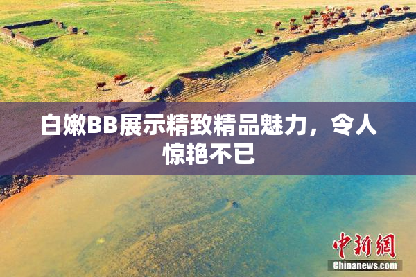 白嫩BB展示精致精品魅力，令人惊艳不已