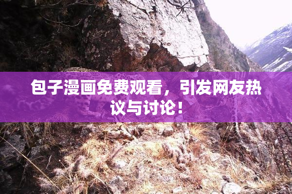 包子漫画免费观看，引发网友热议与讨论！