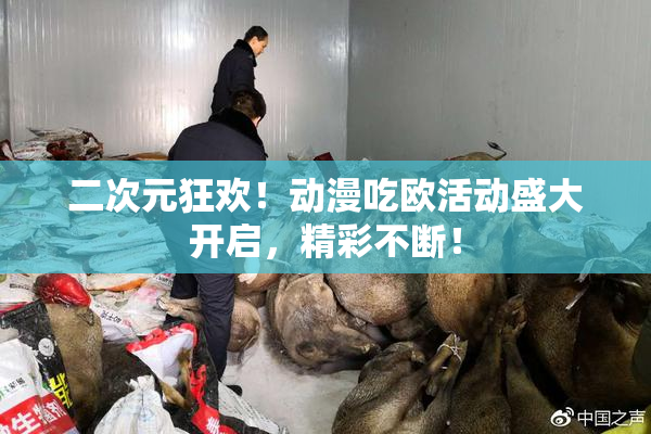 二次元狂欢！动漫吃欧活动盛大开启，精彩不断！