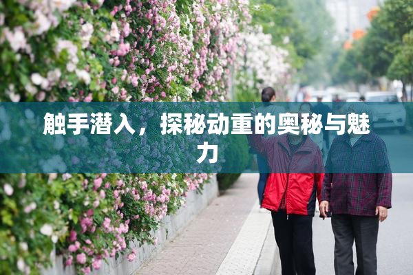 触手潜入，探秘动重的奥秘与魅力