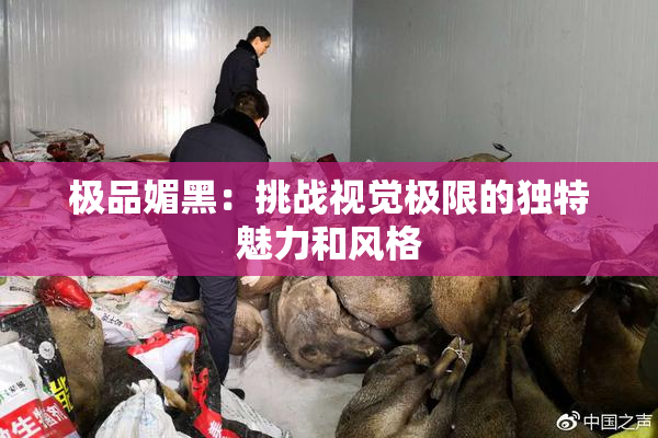 极品媚黑：挑战视觉极限的独特魅力和风格