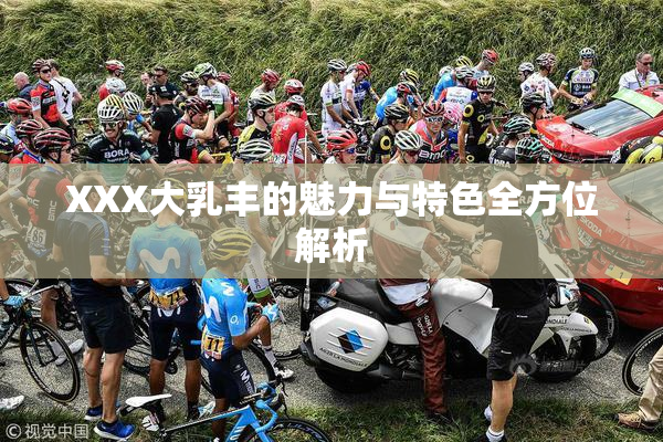 XXX大乳丰的魅力与特色全方位解析