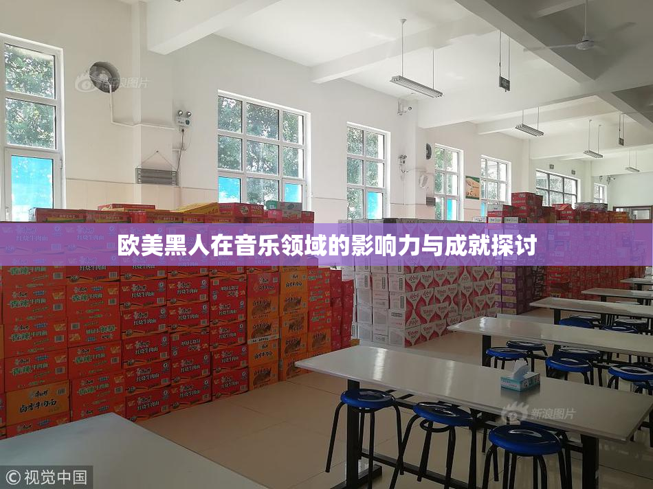 欧美黑人在音乐领域的影响力与成就探讨
