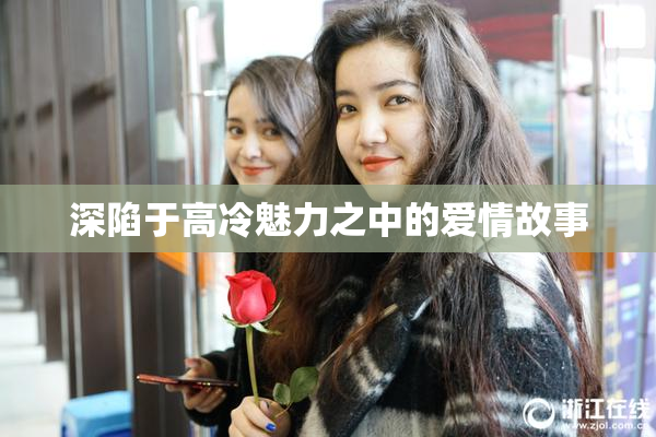 深陷于高冷魅力之中的爱情故事