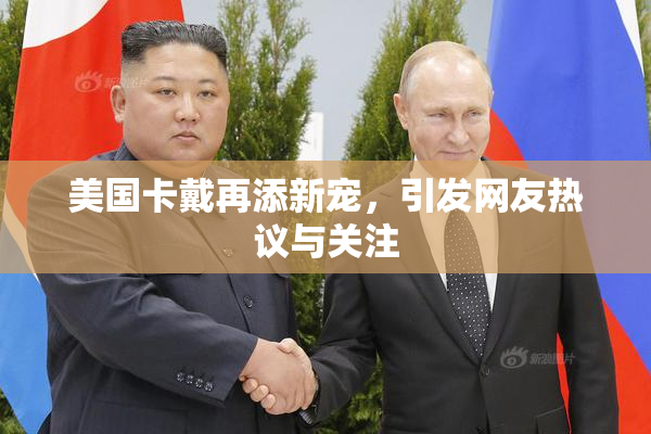 美国卡戴再添新宠，引发网友热议与关注