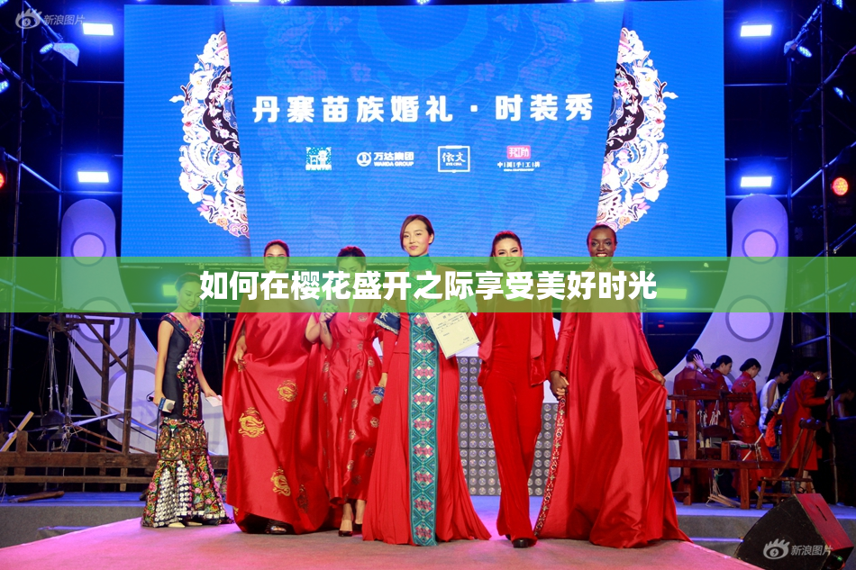 如何在樱花盛开之际享受美好时光