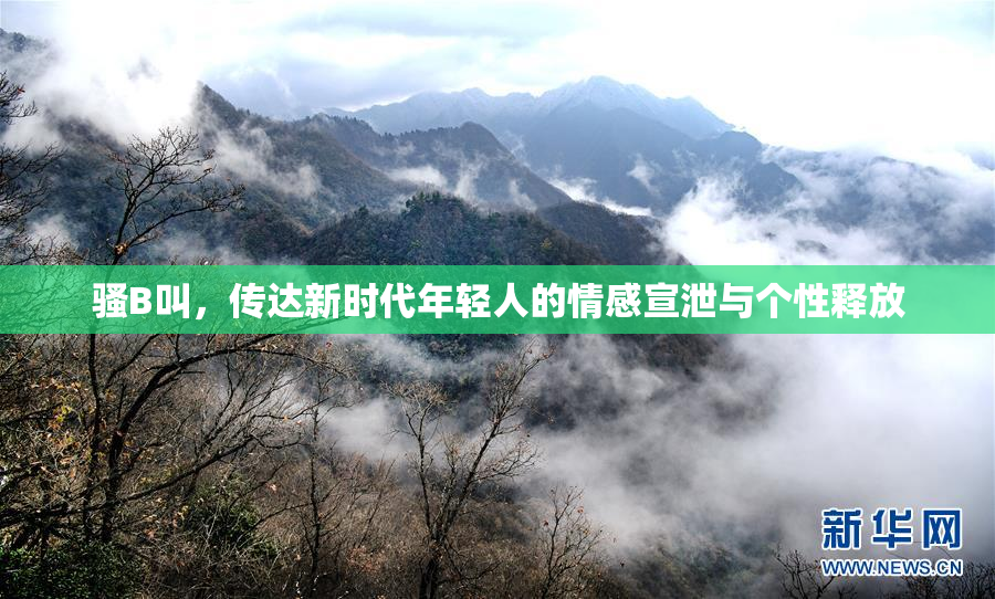 骚B叫，传达新时代年轻人的情感宣泄与个性释放