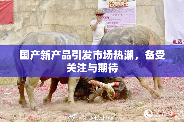 国产新产品引发市场热潮，备受关注与期待