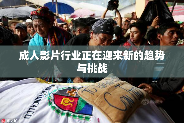 成人影片行业正在迎来新的趋势与挑战