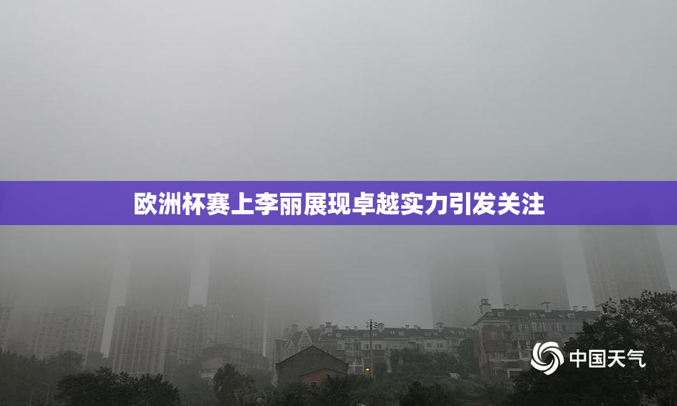 欧洲杯赛上李丽展现卓越实力引发关注