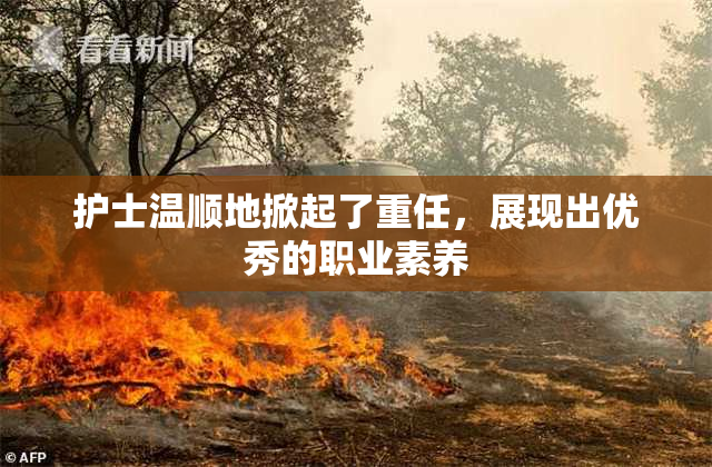 护士温顺地掀起了重任，展现出优秀的职业素养