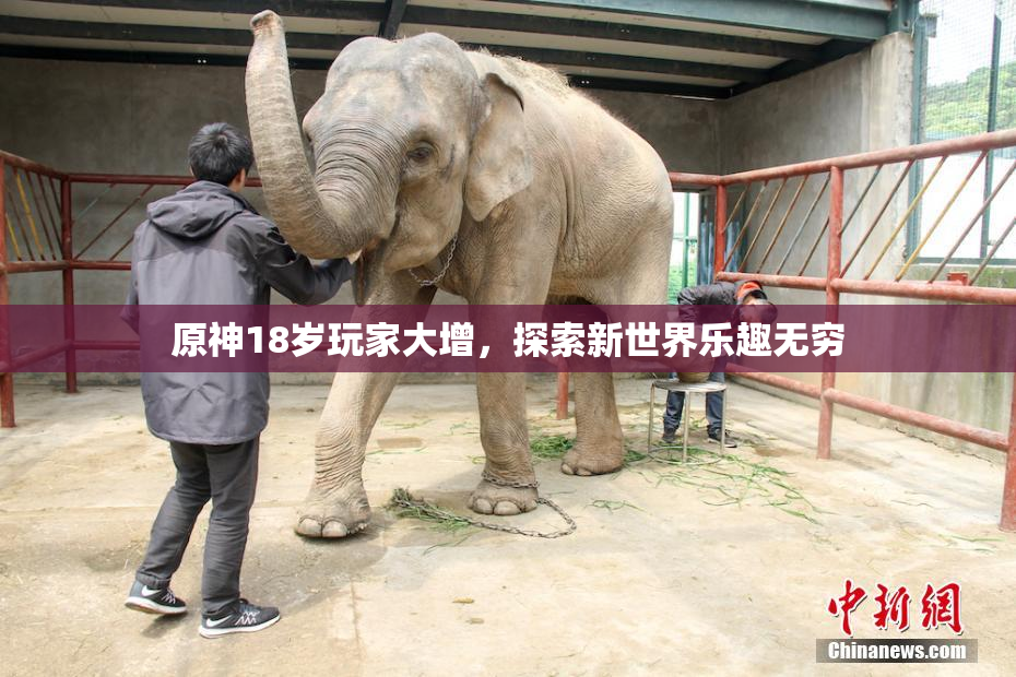原神18岁玩家大增，探索新世界乐趣无穷