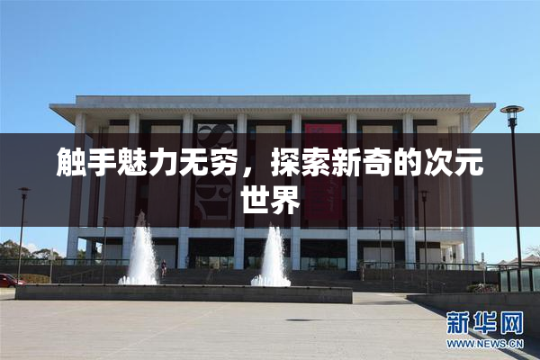 触手魅力无穷，探索新奇的次元世界